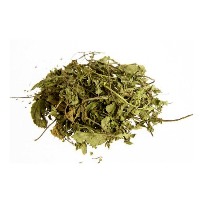 Μέντα (Mentha Piperita)